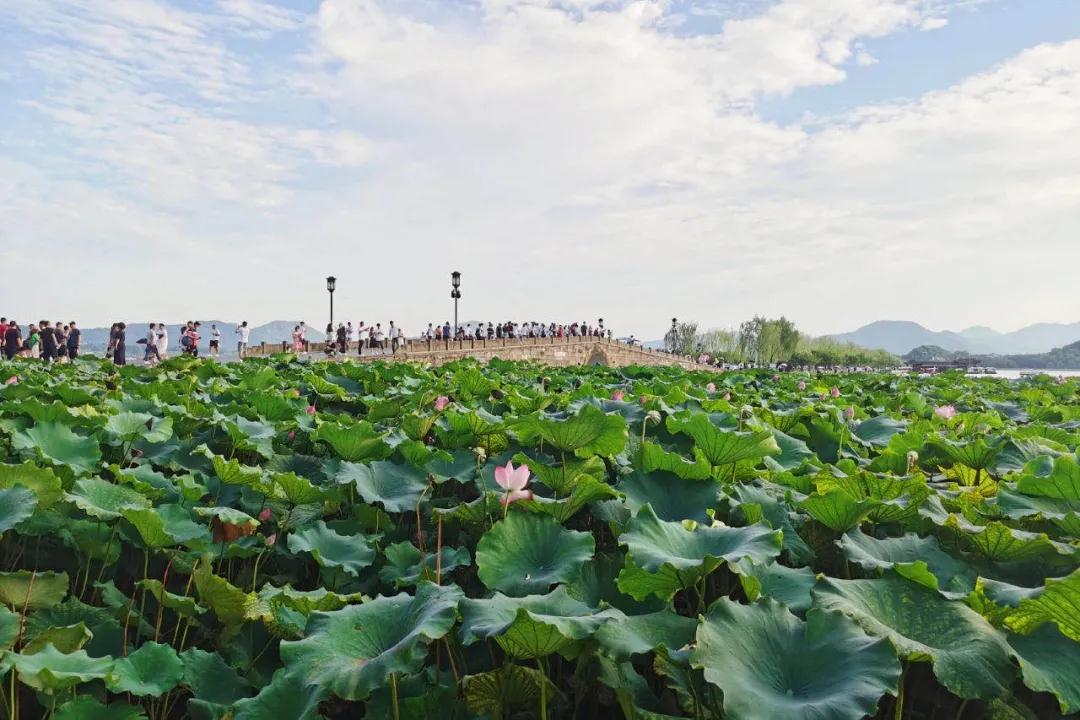 2021安徽萬業(yè)企業(yè)管理有限公司杭州團建旅行西湖